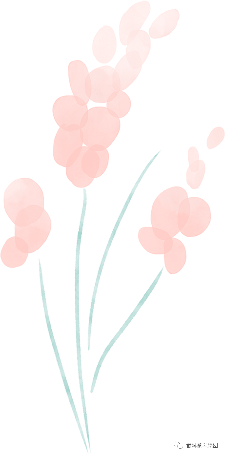 香港六后彩