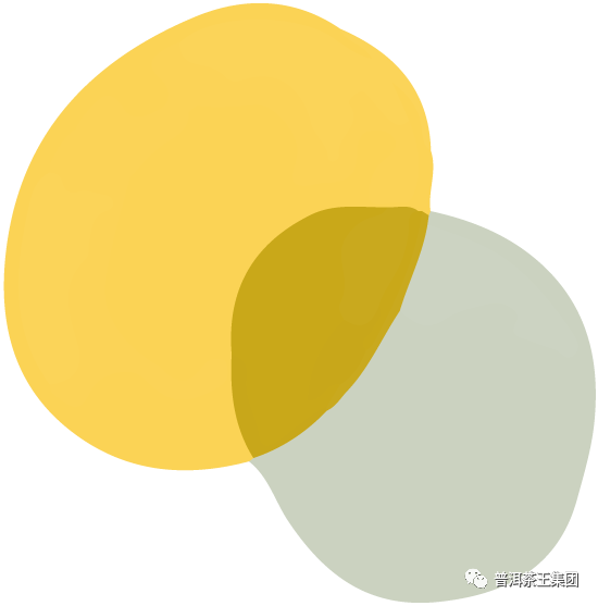 香港六后彩